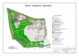 Проект планировки территории ППТ Кадастровые работы в Боре