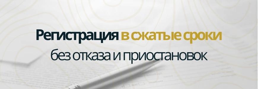 Регистрация в сжатые сроки под ключ в деревне Владимирово